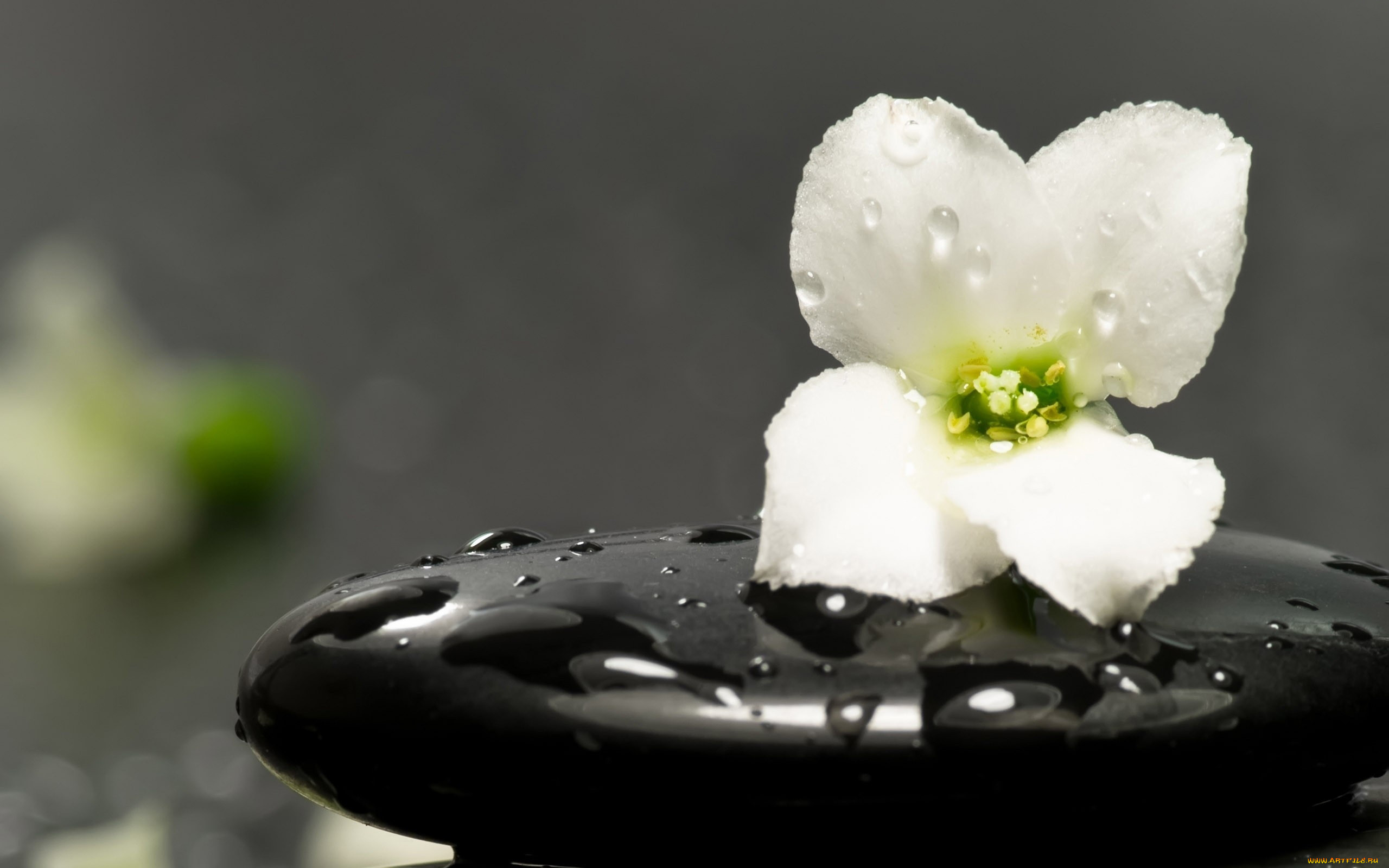 , , , , spa, , , , 
